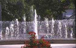 Cartolina