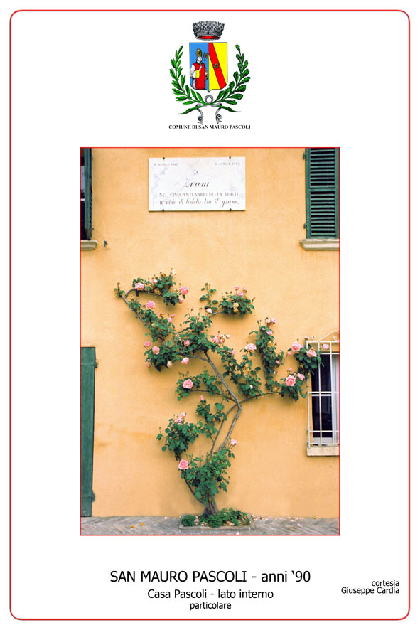 Cartoline