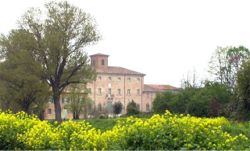 Cartolina